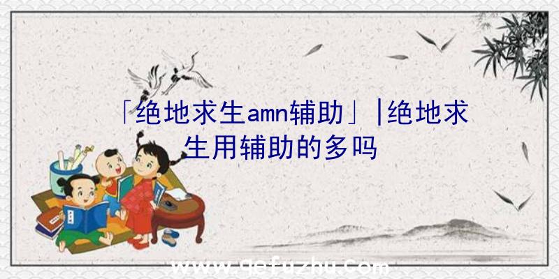 「绝地求生amn辅助」|绝地求生用辅助的多吗